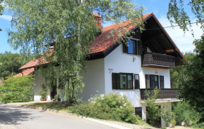 Apartment Countryside Kolpa-Bela krajina